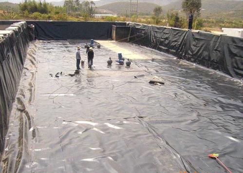 u=12115236,181704897&fm=26&gp=0.jpg u=12115236,181704897&fm=26&gp=0.jpg