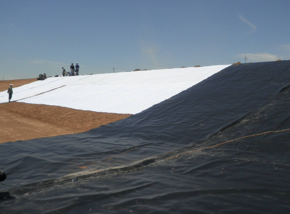 0 (17).png 0 (17).png