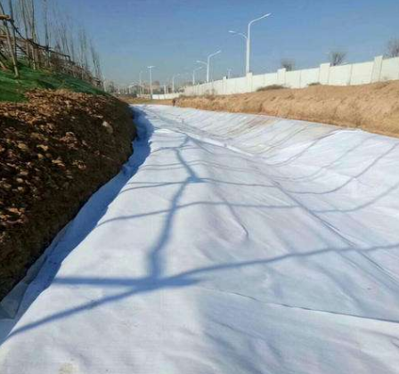 0 (33).png 0 (33).png